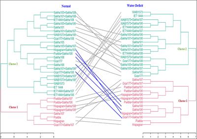 Mode of gene action and heterosis for physiological, biochemical, and agronomic traits in some diverse rice genotypes under normal and drought conditions